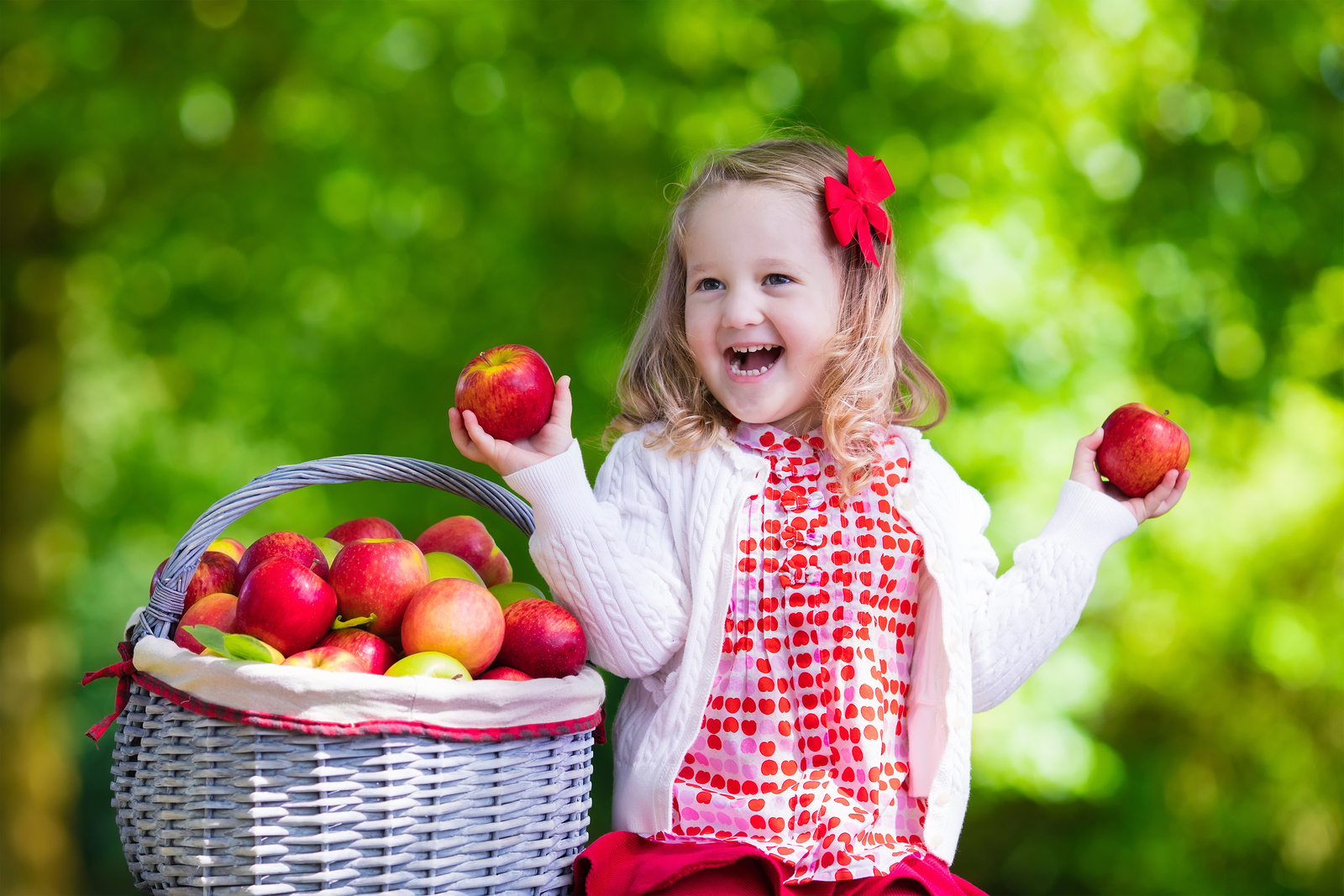 Little Girl Picking Apples In Fruit Orchard - Denise Canellos, MS, CNS